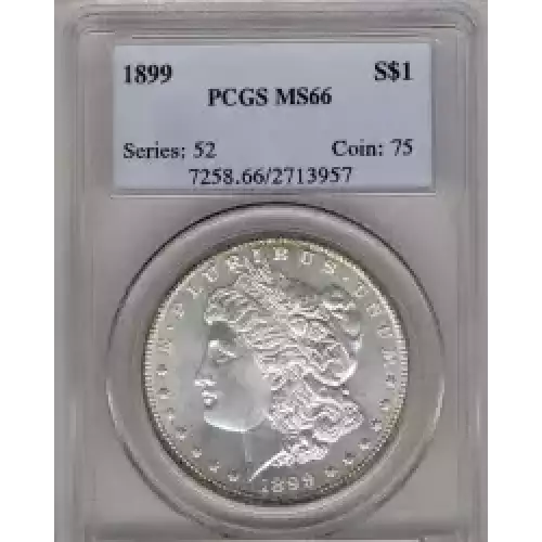 Morgan Silver Dollar (3)