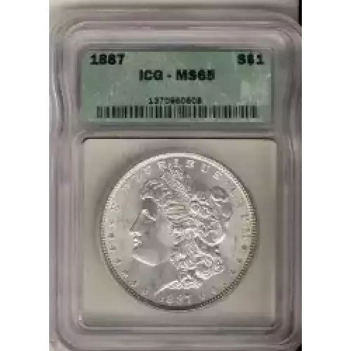 Morgan Silver Dollar (3)