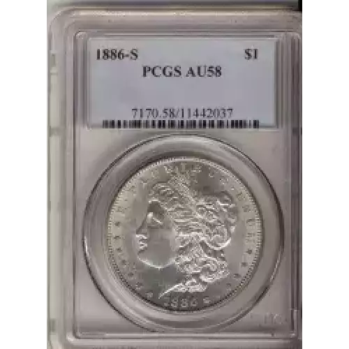 Morgan Silver Dollar (3)