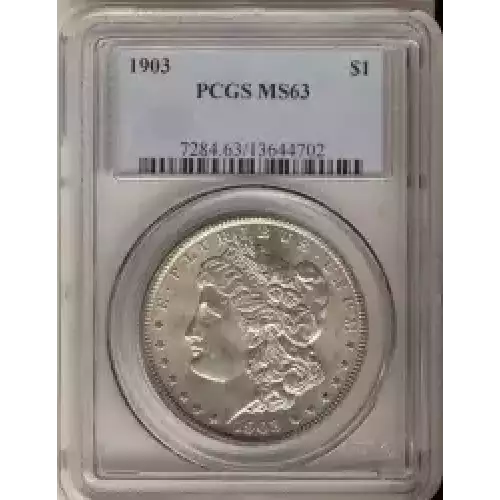 Morgan Silver Dollar (3)