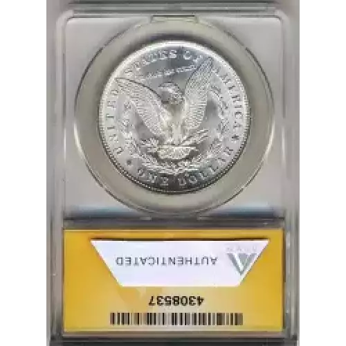 Morgan Silver Dollar (3)