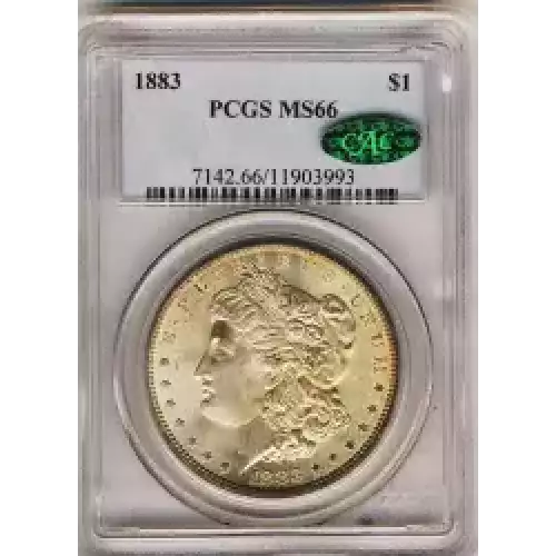 Morgan Silver Dollar (3)