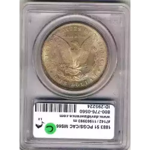 Morgan Silver Dollar (3)