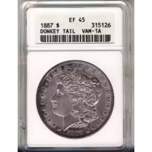 Morgan Silver Dollar (3)