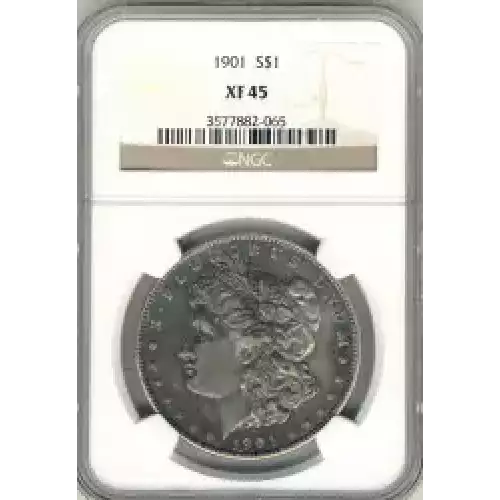 Morgan Silver Dollar (3)