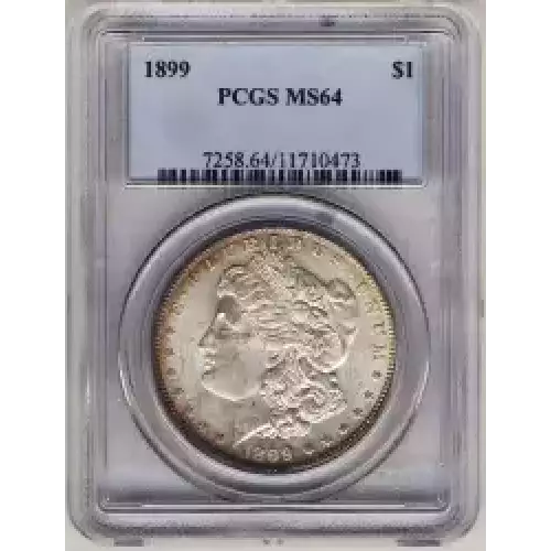 Morgan Silver Dollar (3)