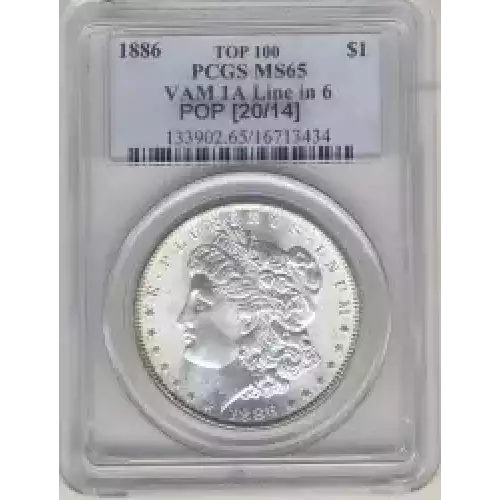 Morgan Silver Dollar (3)