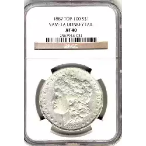 Morgan Silver Dollar (3)