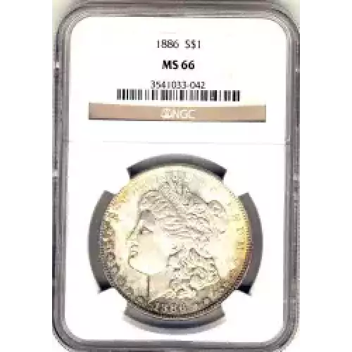 Morgan Silver Dollar (3)