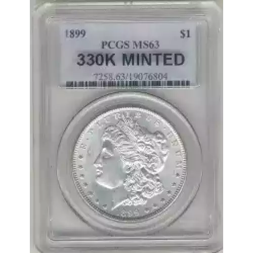 Morgan Silver Dollar (3)