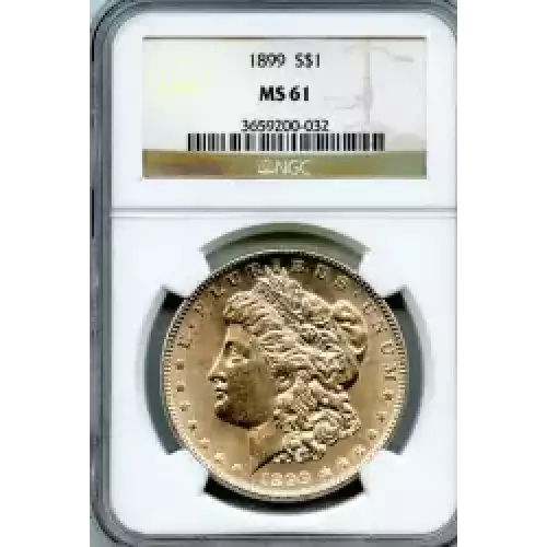 Morgan Silver Dollar (3)