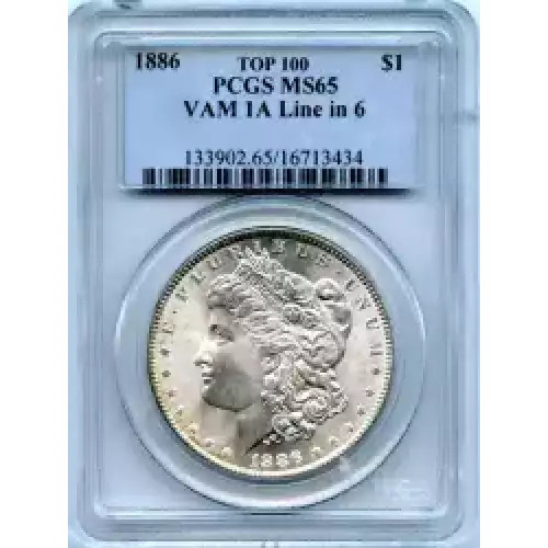 Morgan Silver Dollar (3)