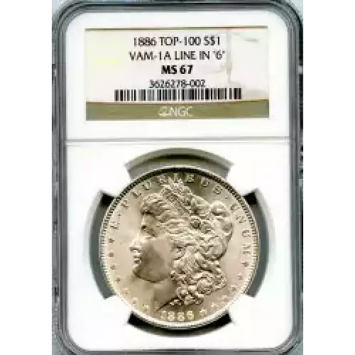 Morgan Silver Dollar (3)