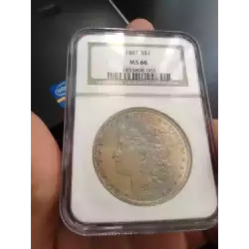 Morgan Silver Dollar (3)