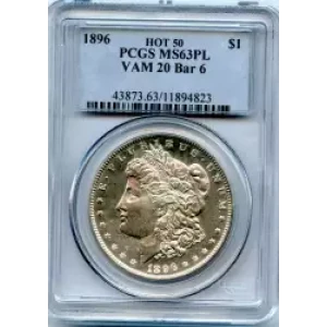 Morgan Silver Dollar (3)