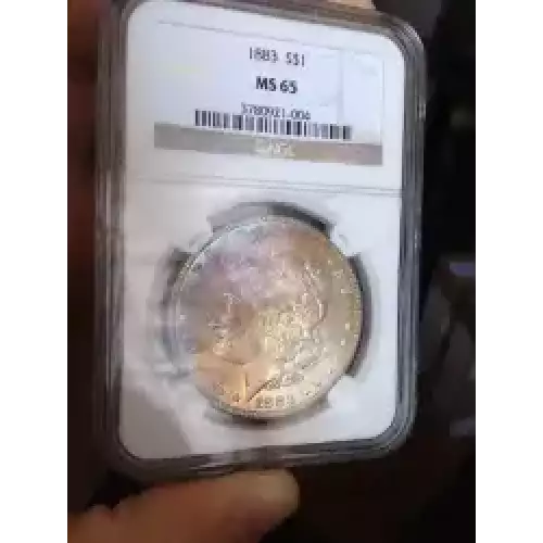 Morgan Silver Dollar (3)