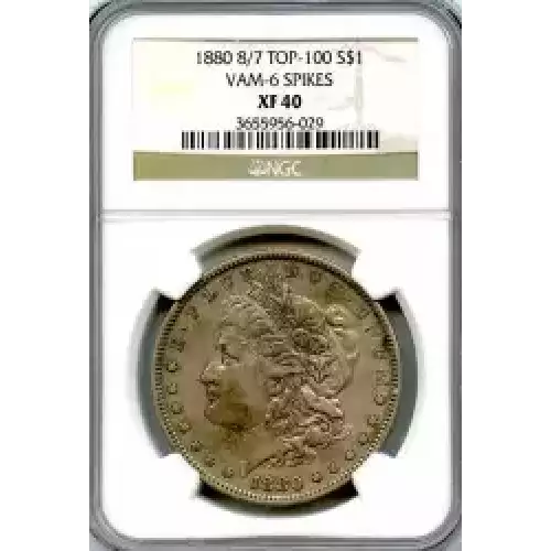 Morgan Silver Dollar (3)