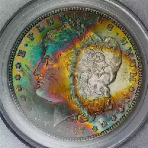 Morgan Silver Dollar (3)