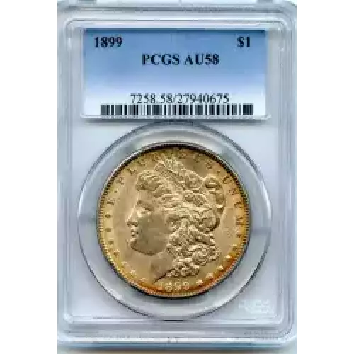 Morgan Silver Dollar (3)