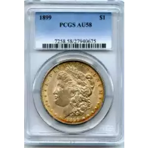 Morgan Silver Dollar (3)