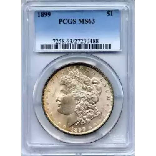 Morgan Silver Dollar (3)