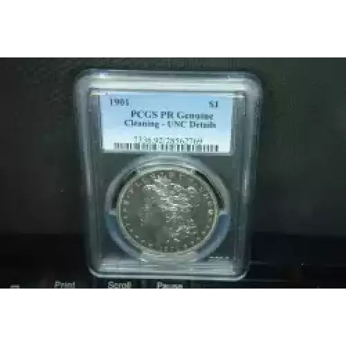 Morgan Silver Dollar (3)