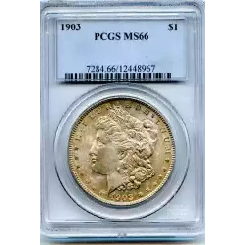 Morgan Silver Dollar (3)