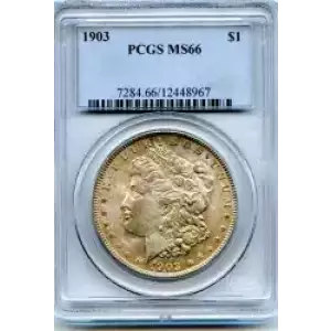 Morgan Silver Dollar (3)