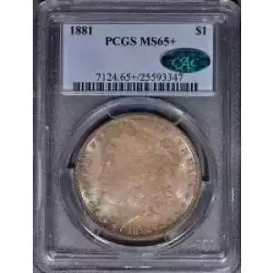 Morgan Silver Dollar (3)