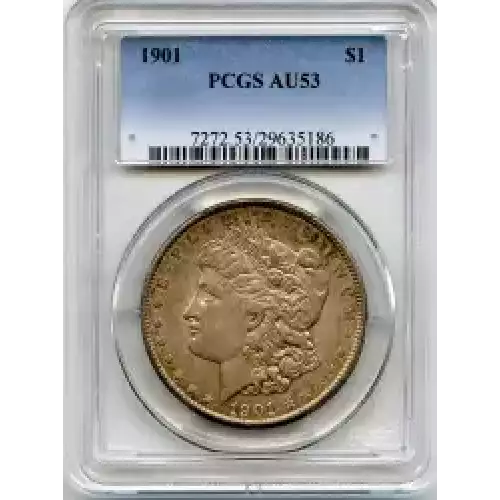 Morgan Silver Dollar (3)