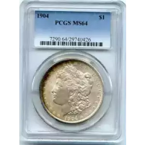 Morgan Silver Dollar (3)