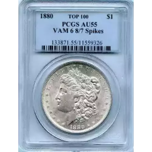 Morgan Silver Dollar (3)