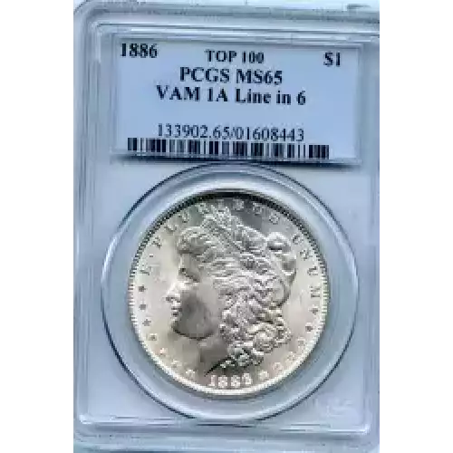 Morgan Silver Dollar (3)