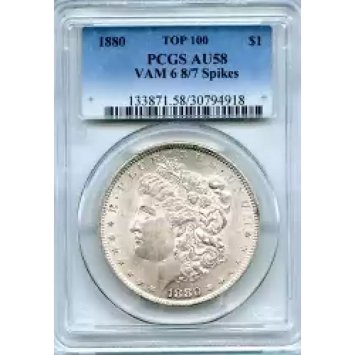 Morgan Silver Dollar (3)