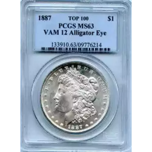 Morgan Silver Dollar (3)