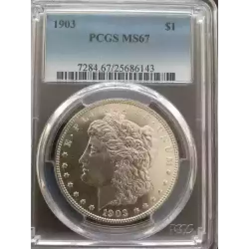 Morgan Silver Dollar (3)