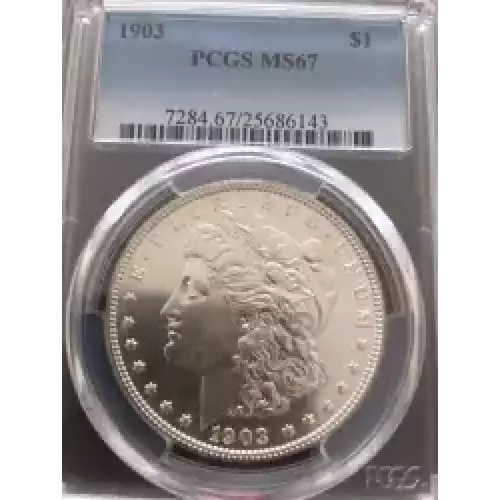 Morgan Silver Dollar (3)