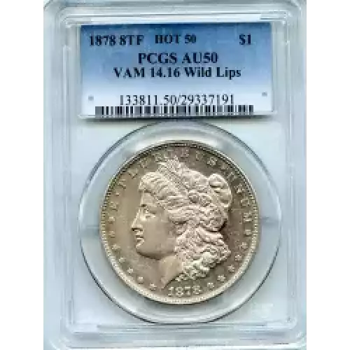 Morgan Silver Dollar (3)