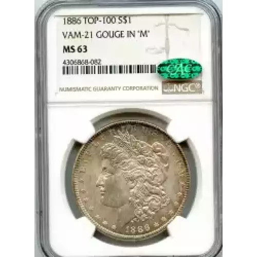 Morgan Silver Dollar (3)