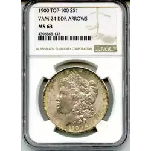 Morgan Silver Dollar (3)