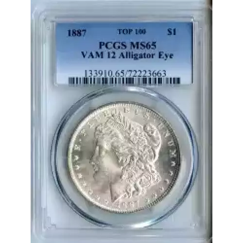 Morgan Silver Dollar (3)