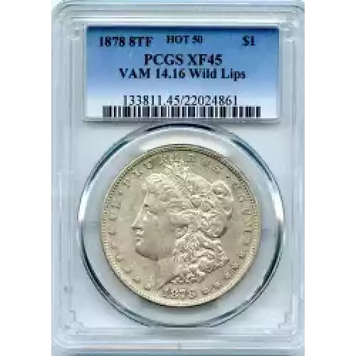 Morgan Silver Dollar (3)