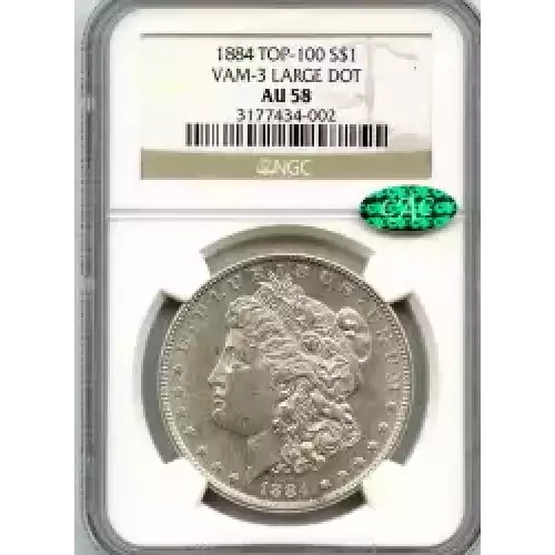 Morgan Silver Dollar (3)