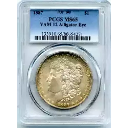 Morgan Silver Dollar (3)