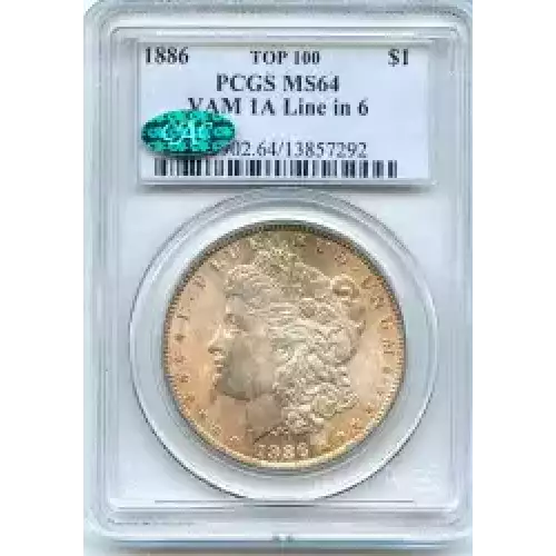 Morgan Silver Dollar (3)