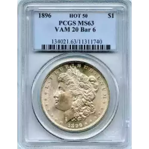 Morgan Silver Dollar (3)