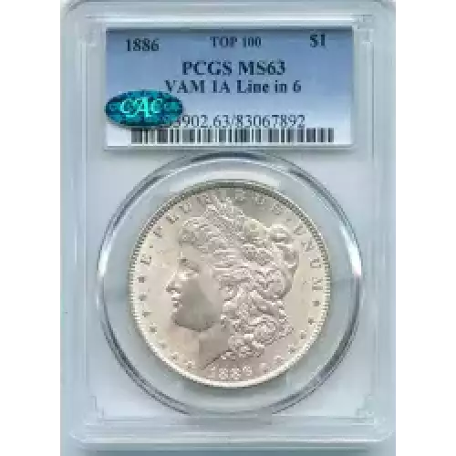 Morgan Silver Dollar (3)