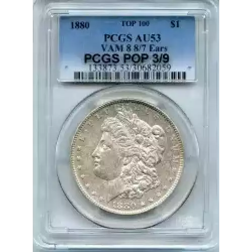 Morgan Silver Dollar (3)