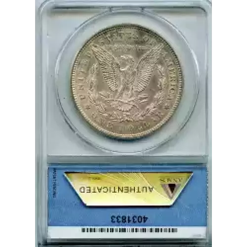 Morgan Silver Dollar (3)