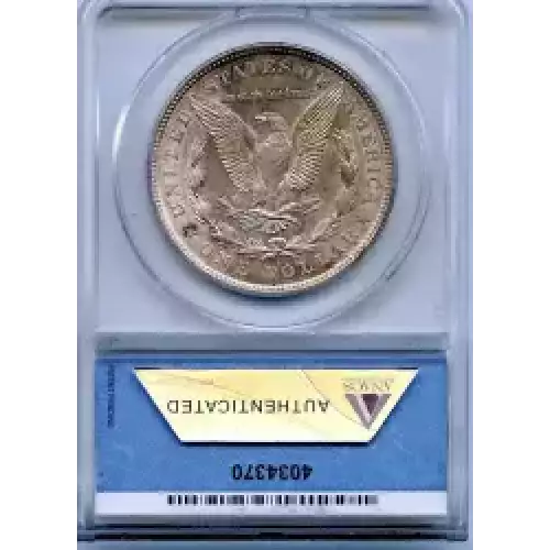 Morgan Silver Dollar (3)